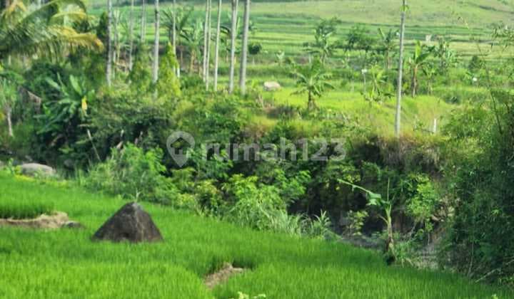 Dijual Lahan Sukamakmur Bogor Jalur Puncak Dua Jonggol Cocok Untuk Villa, Pesantren maupun Agribisnis