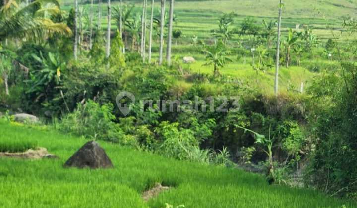 Dijual Lahan Sukamakmur Bogor Jalur Puncak Dua Jonggol Cocok Untuk Villa, Pesantren maupun Agribisnis