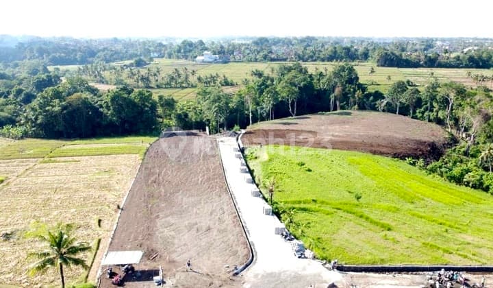 Tanah Kavling Di Kompleks Villa Exclusive, View Hamparan Sawah Di Yeh Gangga, Bongan, Tabanan Dekat Ke Canggu.