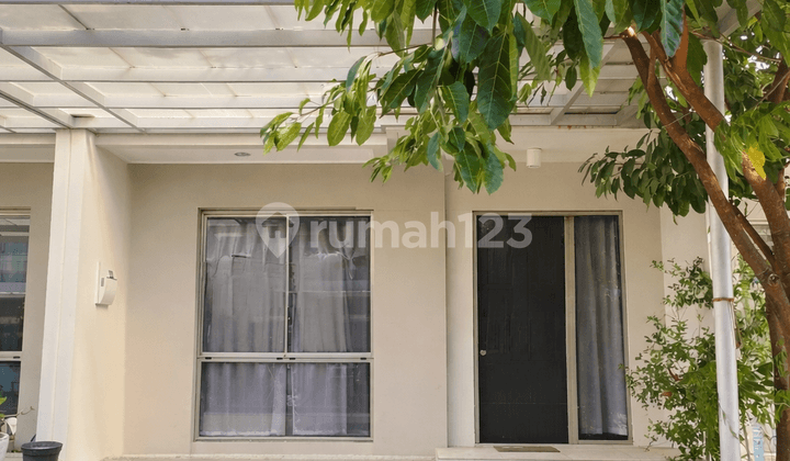 Rumah Hawaii Paradise Pik 2 Tahap 2 6X10 2+1Kt SHM bisa KPR