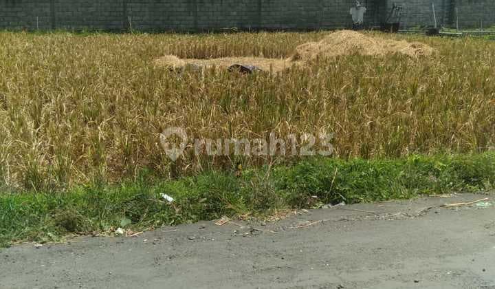 Tanah Sedap Malam Denpasar Timur Bali