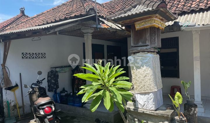 Land on Jalan Pendidikan, South Denpasar, Bali