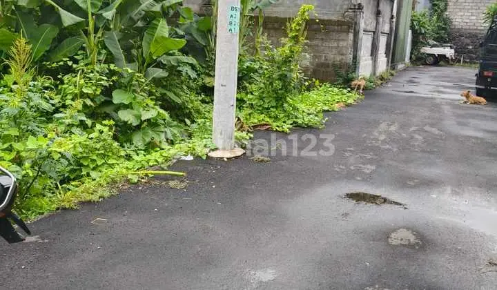 Tanah Sedap Malam Denpasar Timur Bali