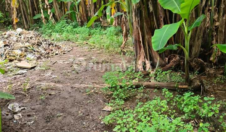 Tanah Cocok untuk Villa Betngandang Sanur Bali