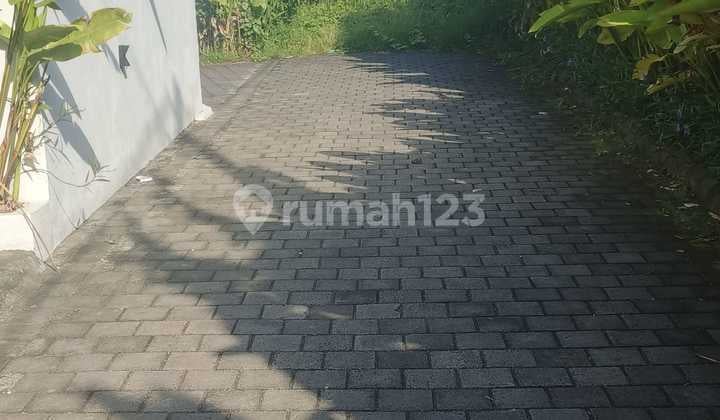 Tanah Canggu Kuta Utara Bali