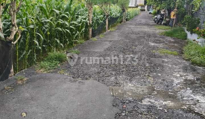 Land within Walking Distance to Padang Galak Beach Sanur Bali