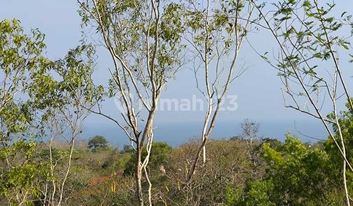 Tanah Ocean View Pura Batu Pageh Ungasan Bali