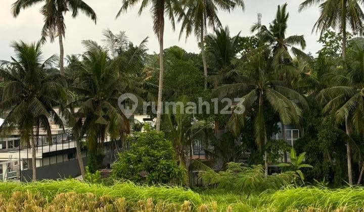 Tanah Lingkungan Villa Singapadu Dekat Ubud Bali