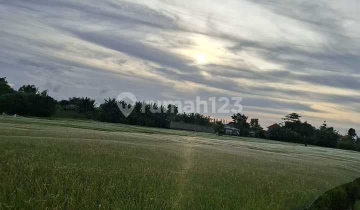Tanah Kutat Lestari Sanur Bali