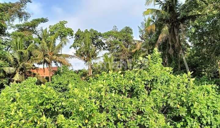 Land in Lohtunduh, Gianyar, Bali