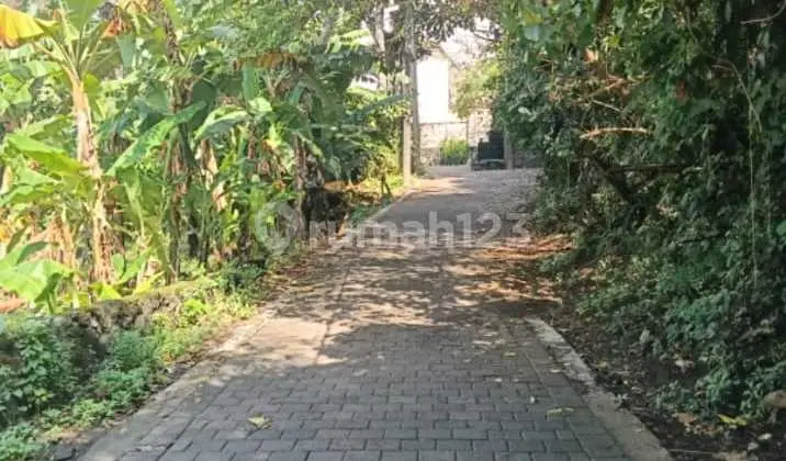 Tanah Sekar Sari, East Denpasar, Bali