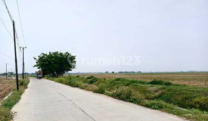 Tanah Perumahan Akses Keluar Pintul Tol Gabus Tambelang Tambun Bekasi Utara Tanah