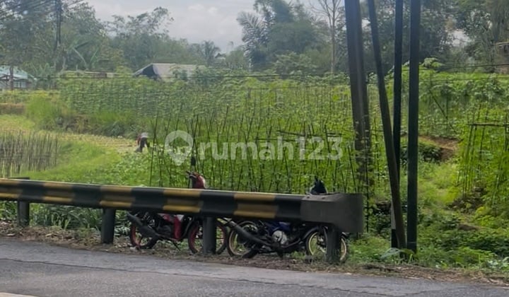 Tanah Jl Raya Cianjur Dekat Rm Cibereum Puncak Jabar Tanah