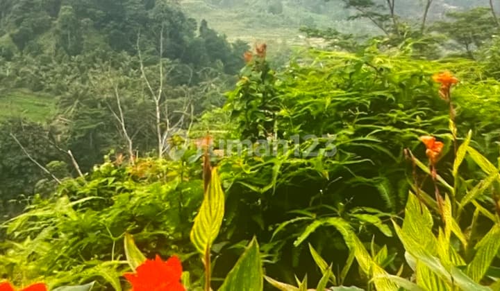 Mountain Atmosphere Tourist Attraction. And River in Sentul