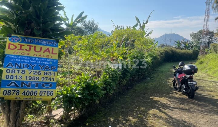 Tanah View Gunung Di Ciherang Cianjur Puncak Jabar Tanah