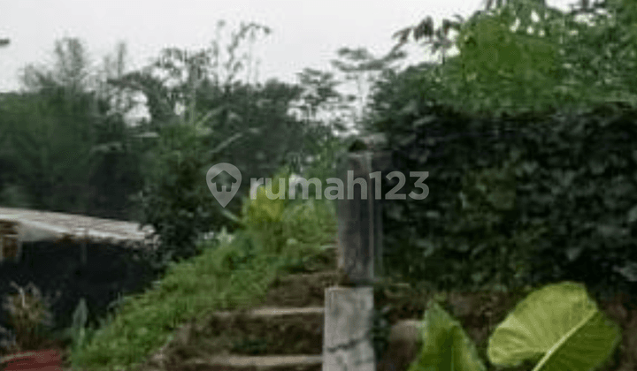 Tanah Komersial Di Lingkungan Alami. Dekat Taman Bunga Nusantara Puncak Jabar