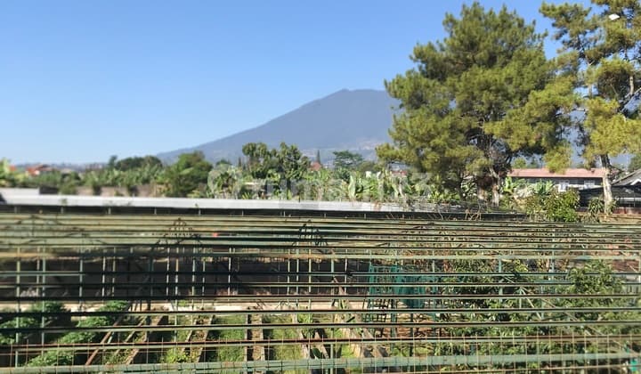 Vila Sejuk Dan Tenang Dgn View Gunung Terletak Di Luar Komplek. Hanjawar Arah Bunga Puncak Jabar Vila