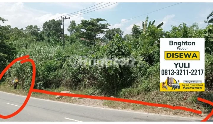 Disewakan: Lahan Luas strategis poros Jalan Utama P. Suryanata-Akses Mudah dan Strategis Disewakan: Lahan Luas strategis poros Jalan Utama P. Suryanata-Akses Mudah dan Strategis