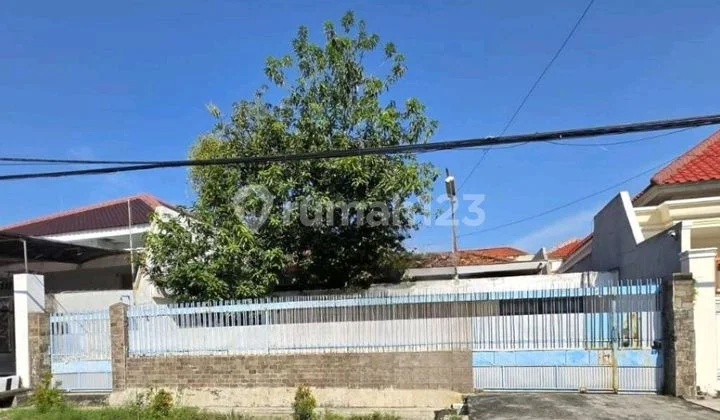 Tev ‼️ *hot Listing**dijual Rumah Komersial Lokasi Strategis* *dharmahusada, Surabaya Timur* Tev ‼️ *hot Listing**dijual Rumah Komersial Lokasi Strategis* *dharmahusada, Surabaya Timur*