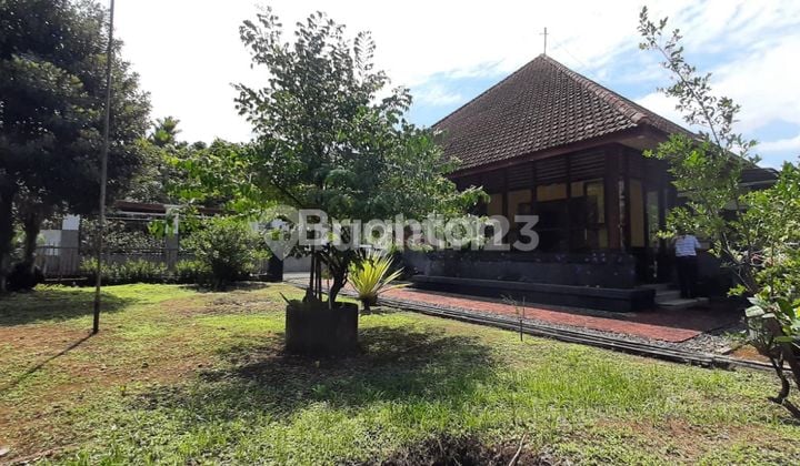 Di jual rumah besar dan tanah luas di Kota Jember Jawa Timur.