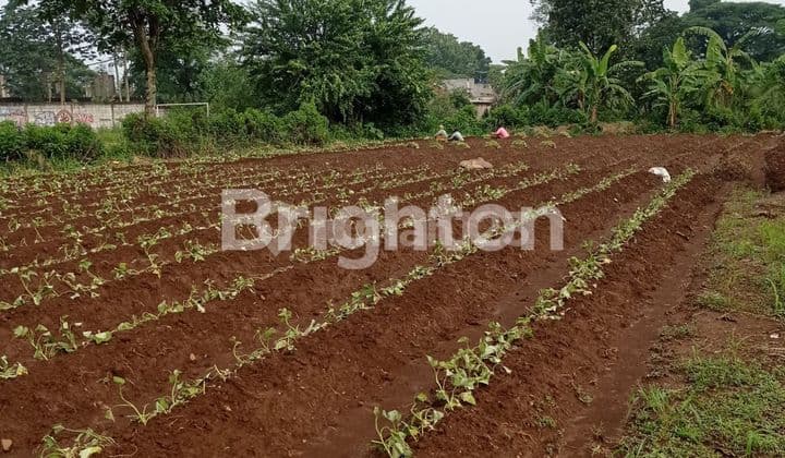 Di Jual Tanah luas pinggir Danau Situ Gede - Bogor Barat
