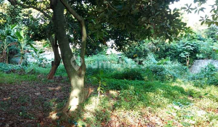 Dijual Cepat Tanah Untuk Pembuatan Cluster di Jatibening