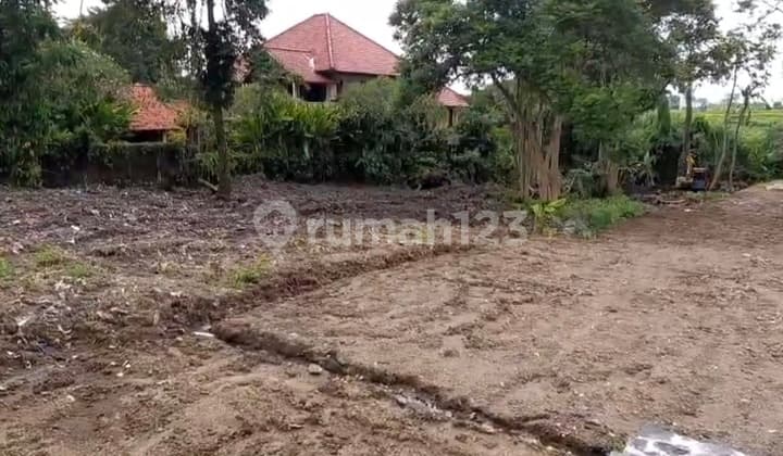 Exclusive Land, Pink Zone 1,500 M² In Pererenan, Tumbak Bayuh - Hot Investment - SHM