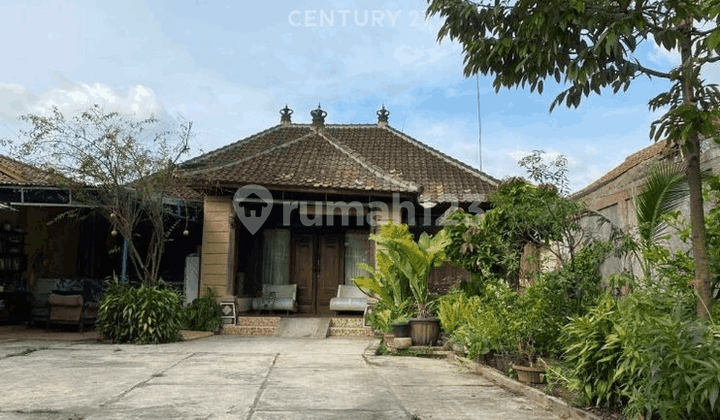 Rumah Pinggir Jalan Utama Model Joglo Di Cireundeu 8234