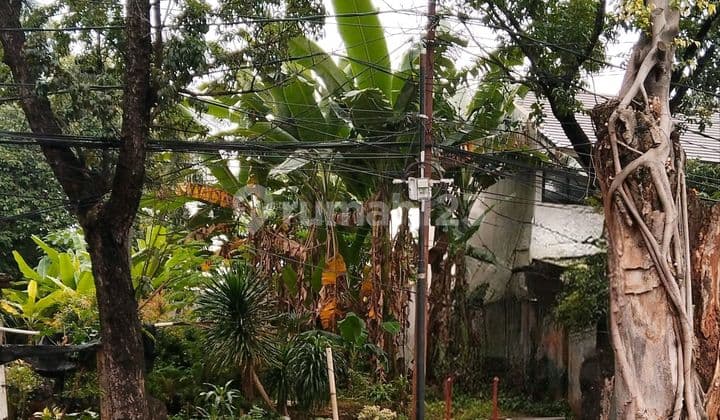 Tanah Dilokasi Strategis bisa untuk Usaha dan Rumah Tinggal