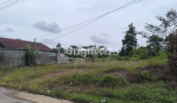 PALEMBANG TANAH JUAL DI TALANG JAMBE SUKARAME