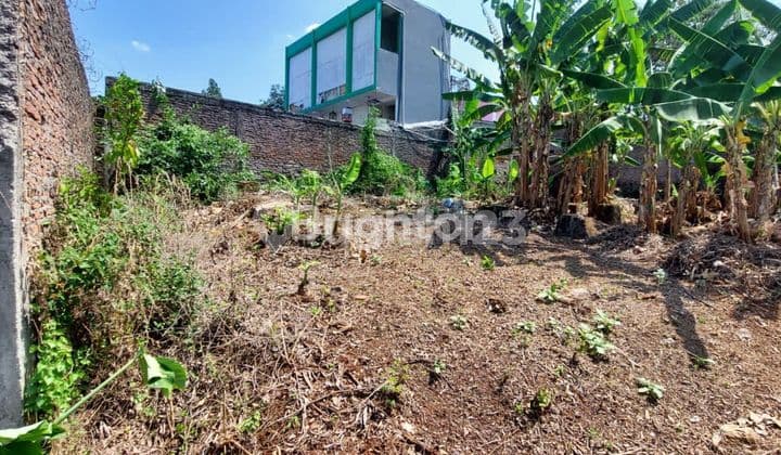 Lahan Datar Di Area Undip Strategis Investasi Tinggi