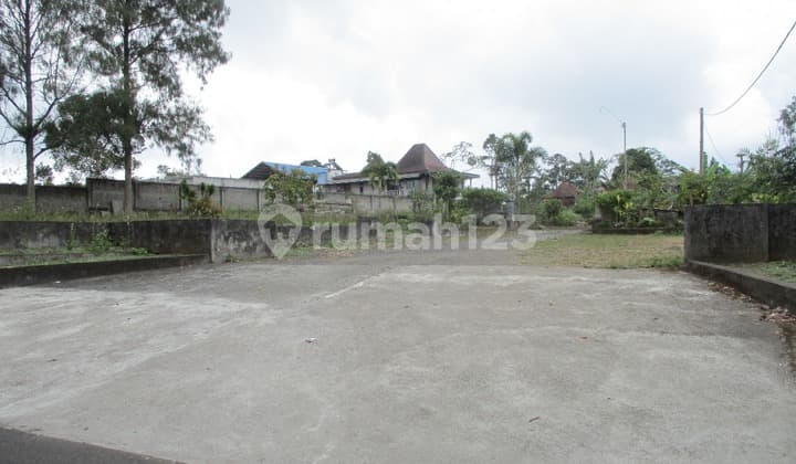 Tanah Kintamani Bali 500Ribu Permeter Lewat Lelang