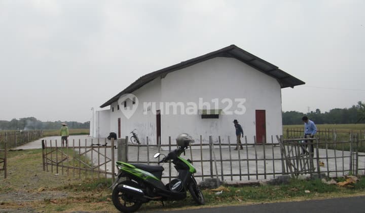 Tanah Murah Bekas Ricemill Di Petarukan Pemalang