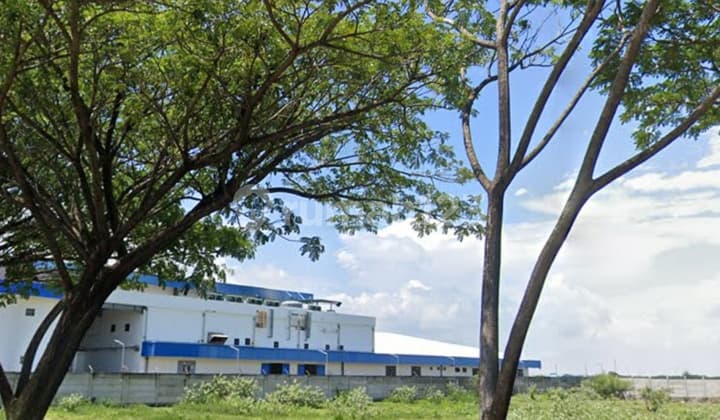 Tanah Murah Di Kawasan Industri Socorejo Tuban