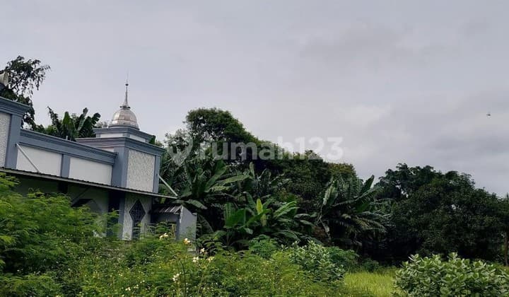 Tanah Murah Untuk Developer Dekat Pasar Cileungsi