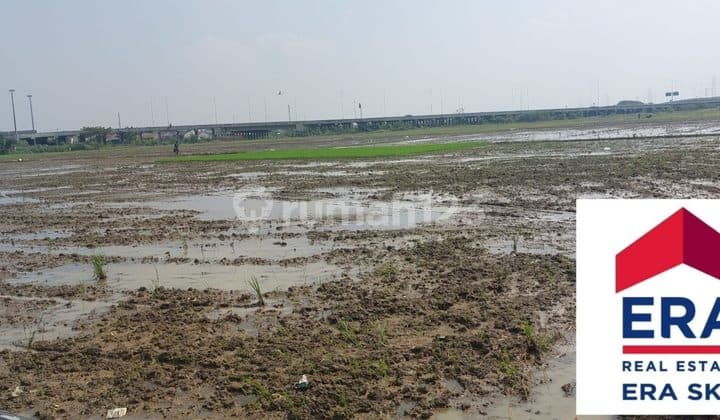 Tanah Kavling 2 Hektar Pinggir Pintu Tol Gabus