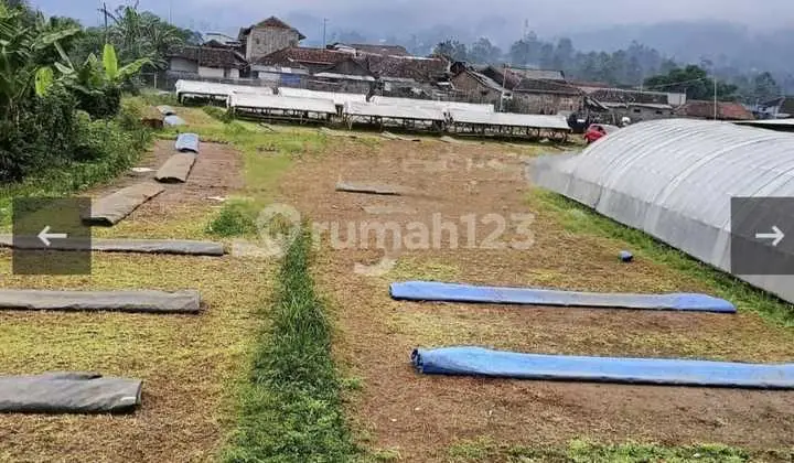 Di Jual Tanah Cukup Luas Dekat Dengan Tempat Wisata Ciwidey