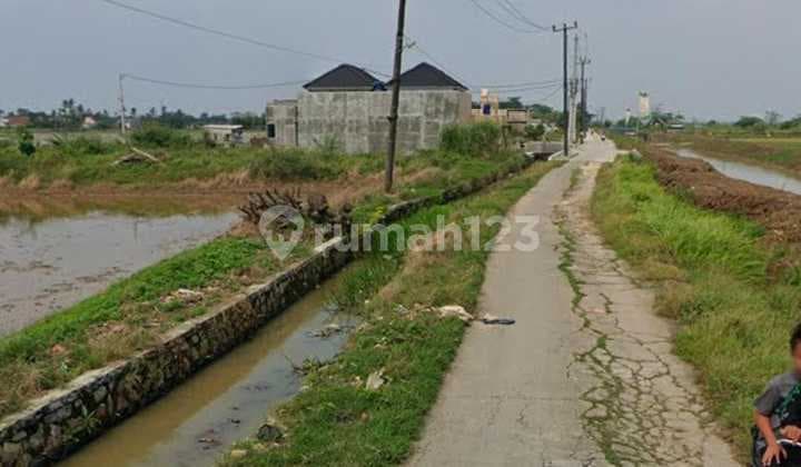 Tanah Sawah Di Desa Banjar Sari Tambelang Bekasi