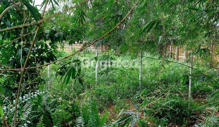 Lahan Kosong Di Tengah Kota Jalan Riau Pekanbaru