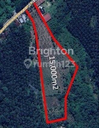 Tanah Premium Dekat Gerbang Tol Pekanbaru - Minas