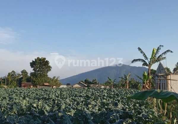 Tanah Istimewa Pinggir Jalan Raya Salatiga Sangat Strategis