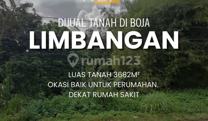 Tanah Murah untuk Perumahan