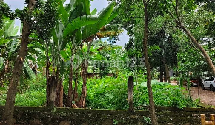 Tanah Kavling Strategis di Ddn Alternatif Cibubur