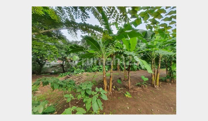 Tanah Luas di Area Ramai Dekat Gerbang Tol Sawangan 1