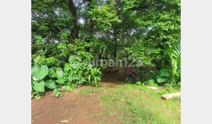 Tanah Murah Lahan Luas Dekat Detos Mall Rangkapan Jaya