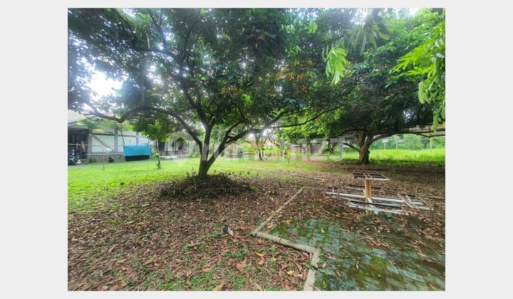 Tanah Luas di Cinere Depok Dekat Sekolah Internasional