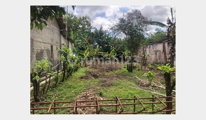 Tanah Luas Harga Terjangkau Dekat Kampus Uny Wates