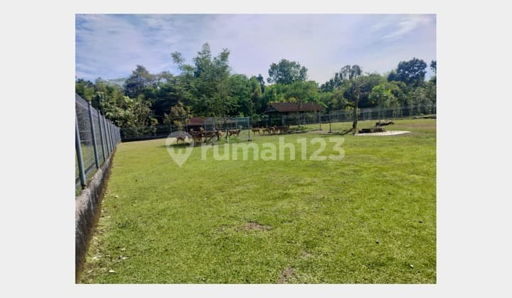 Tanah Luas di Wedomartani Sleman, Kontur Datar Siap Bangun