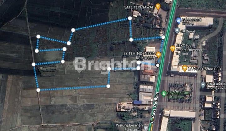 DIJUAL TANAH RAYA PETIKAN DRIYOREJO
