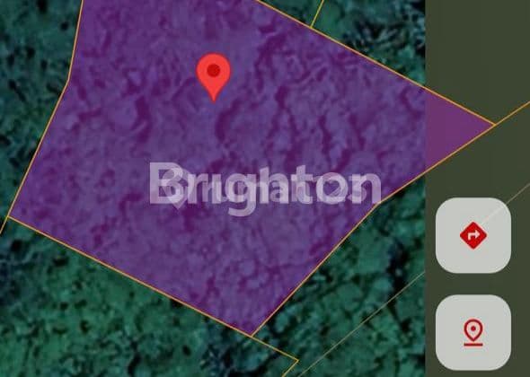 DIJUAL TANAH MURAH DI JALAN M SAID TENGAH KOTA SAMARINDA